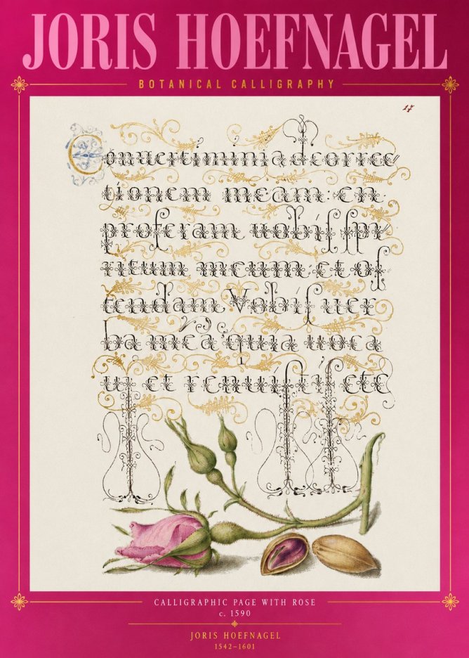 Joris Hoefnagel Calligraphic Page with Rose No2 - Affiche
