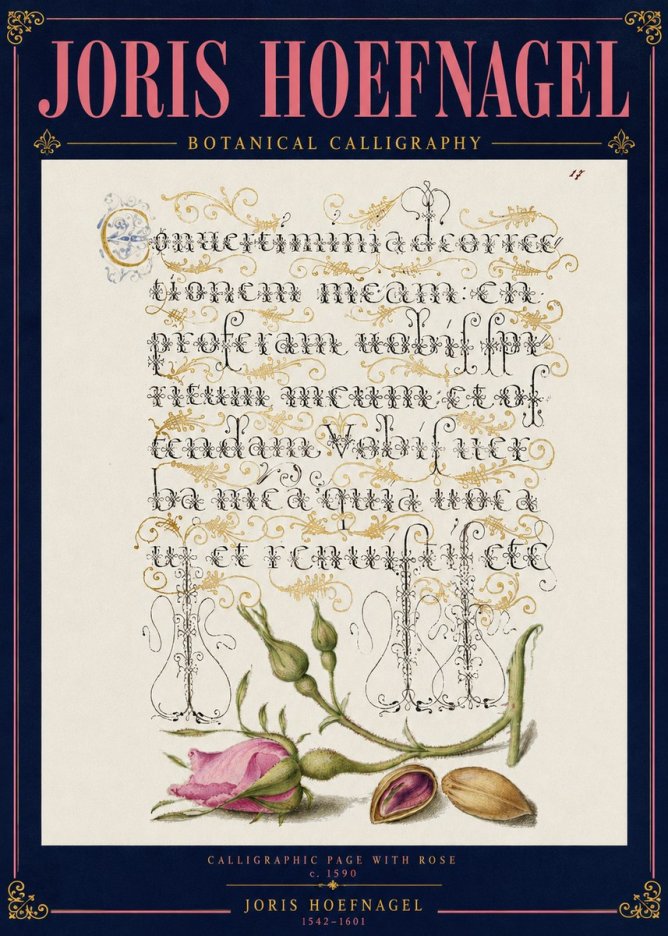 Joris Hoefnagel Calligraphic Page with Rose No4 - Affiche