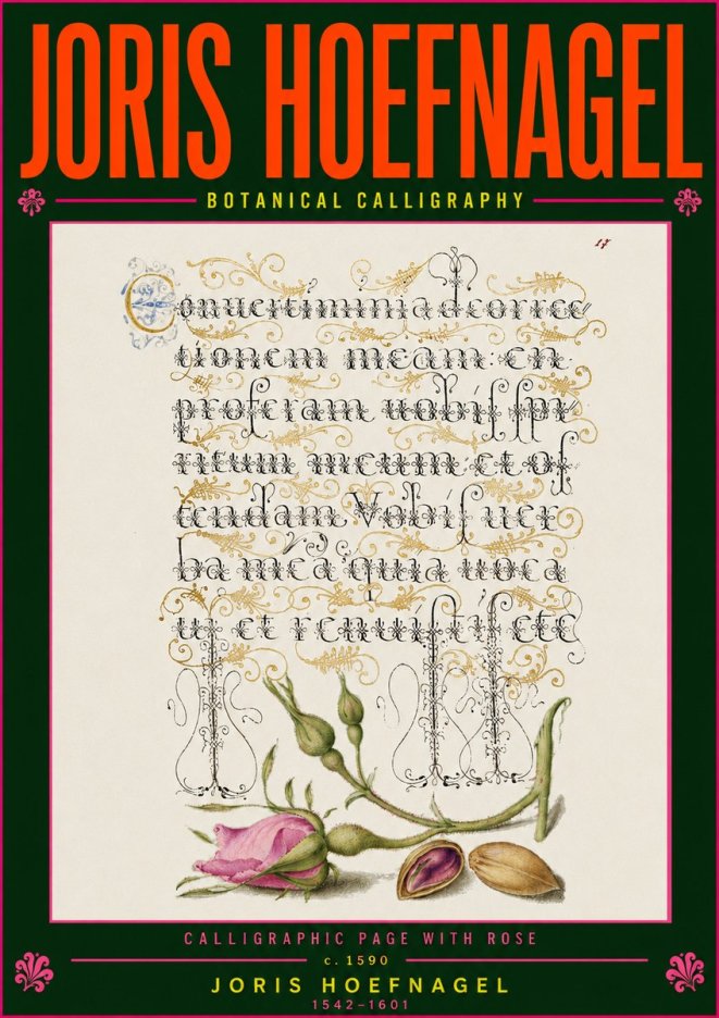 Joris Hoefnagel Calligraphic Page with Rose No5 - Affiche