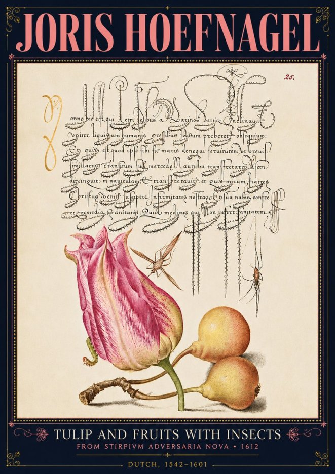 Joris Hoefnagel Tulip and Fruits with Insects No4 - Affiche
