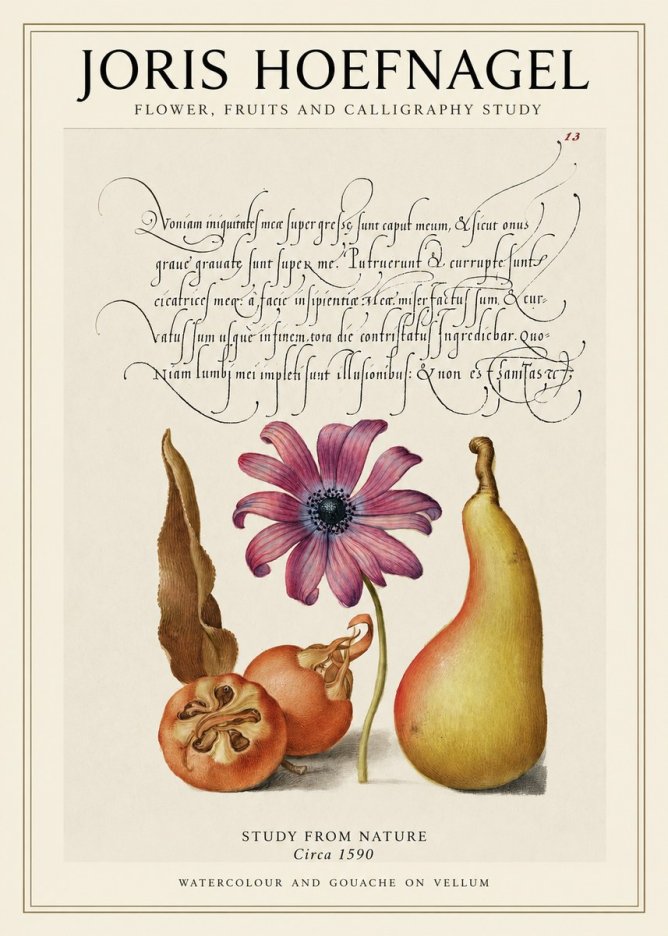 Joris Hoefnagel Study of Flower and Fruits No2 - Affiche