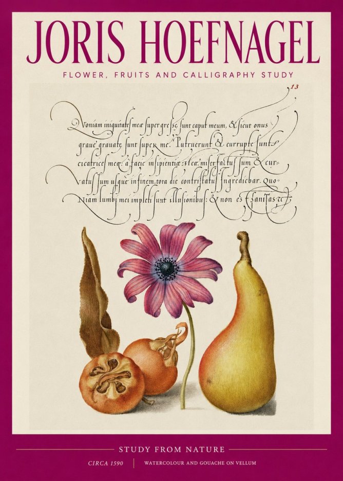 Joris Hoefnagel Study of Flower and Fruits No3 - Affiche