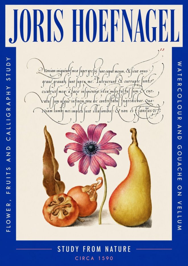 Joris Hoefnagel Study of Flower and Fruits No5 - Affiche