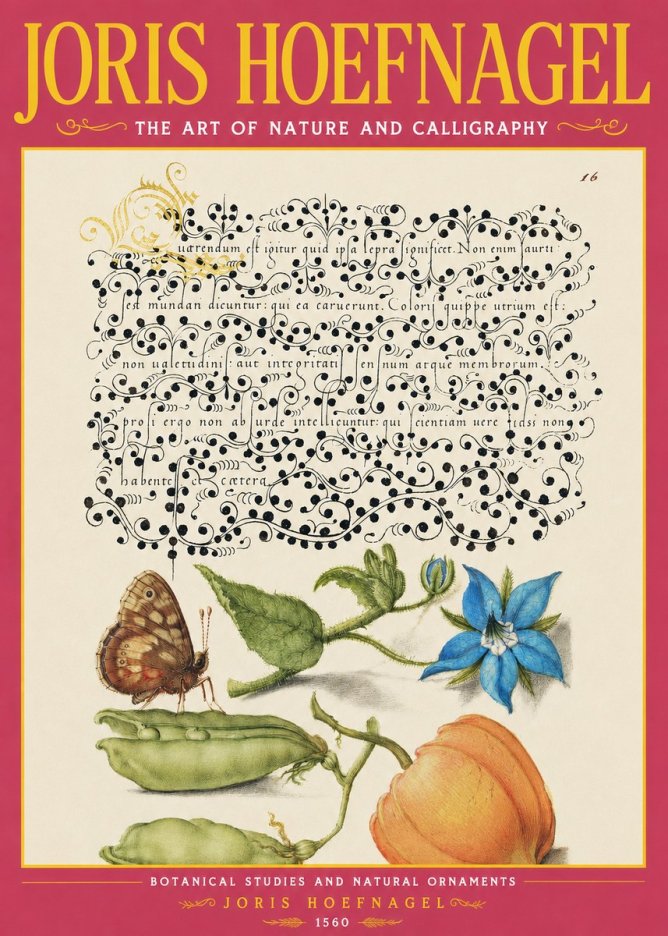 Joris Hoefnagel Study of Plants and Butterfly No4 - Affiche