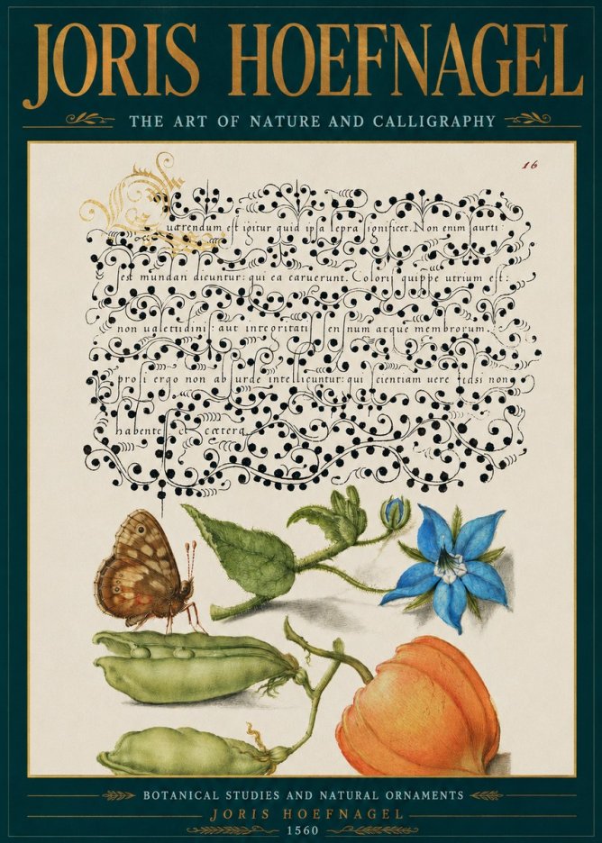 Joris Hoefnagel Study of Plants and Butterfly No5 - Affiche