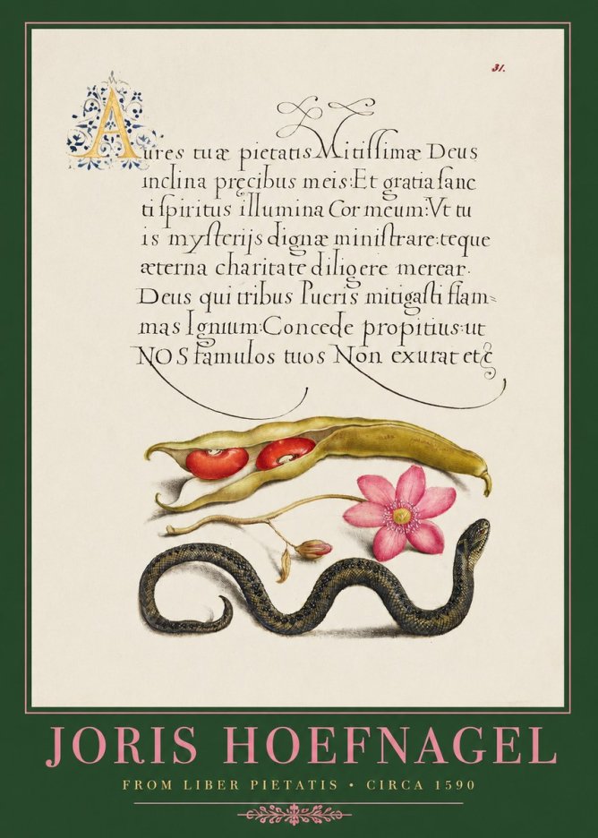 Joris Hoefnagel Prayer for Divine Grace No2 - Affiche
