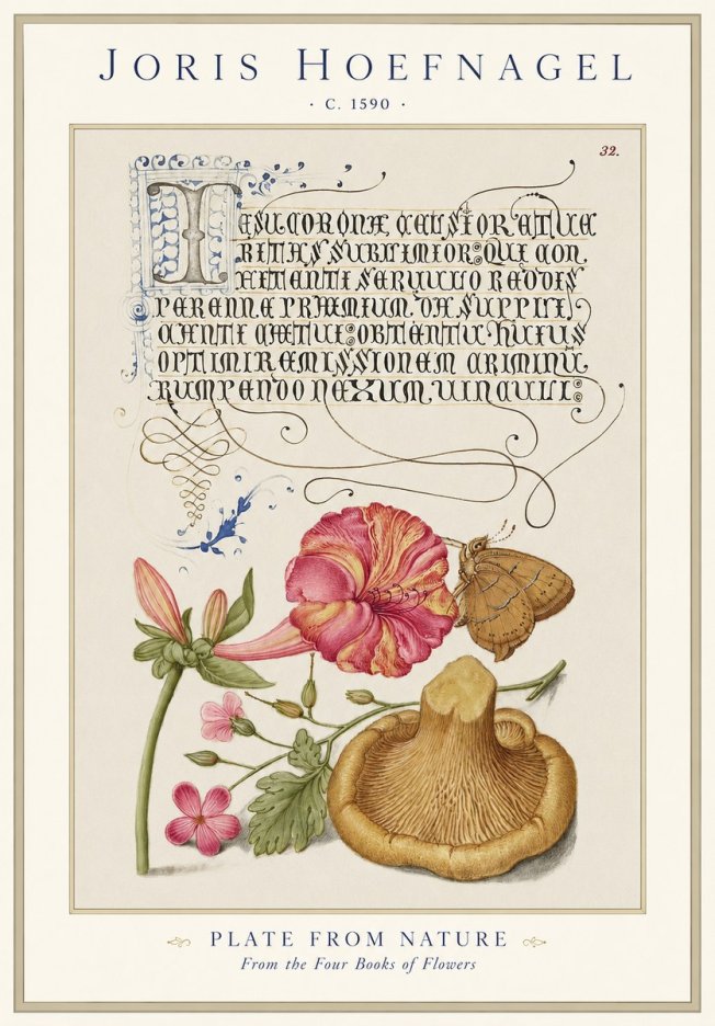 Joris Hoefnagel A Study of Nature II No2 - Affiche