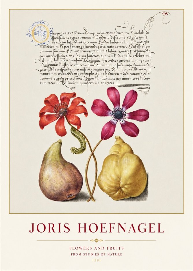 Joris Hoefnagel Flowers and Fruits No1 - Affiche