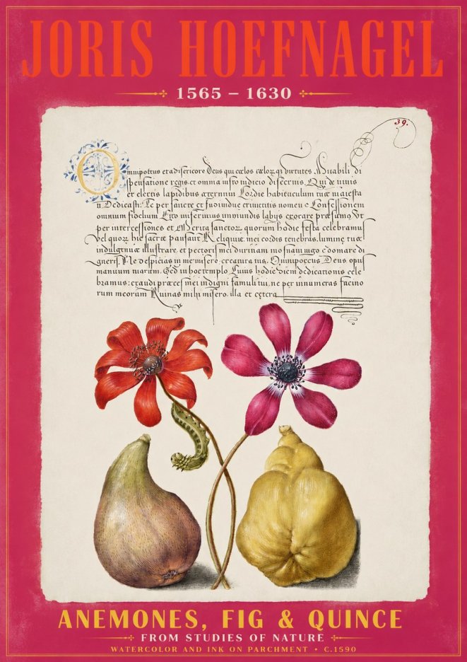 Joris Hoefnagel Flowers and Fruits No3 - Affiche
