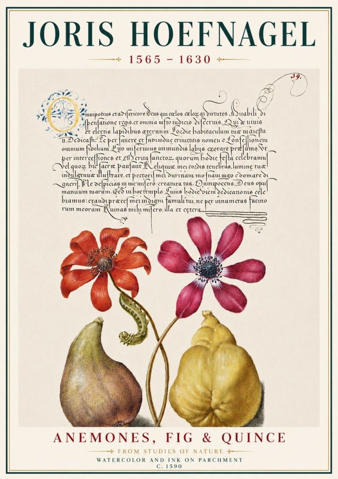 Joris Hoefnagel Flowers and Fruits No4 - Affiche