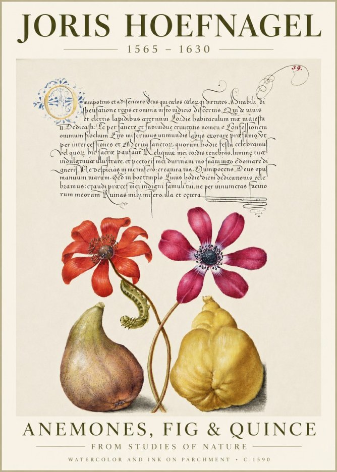 Joris Hoefnagel Flowers and Fruits No6 - Affiche