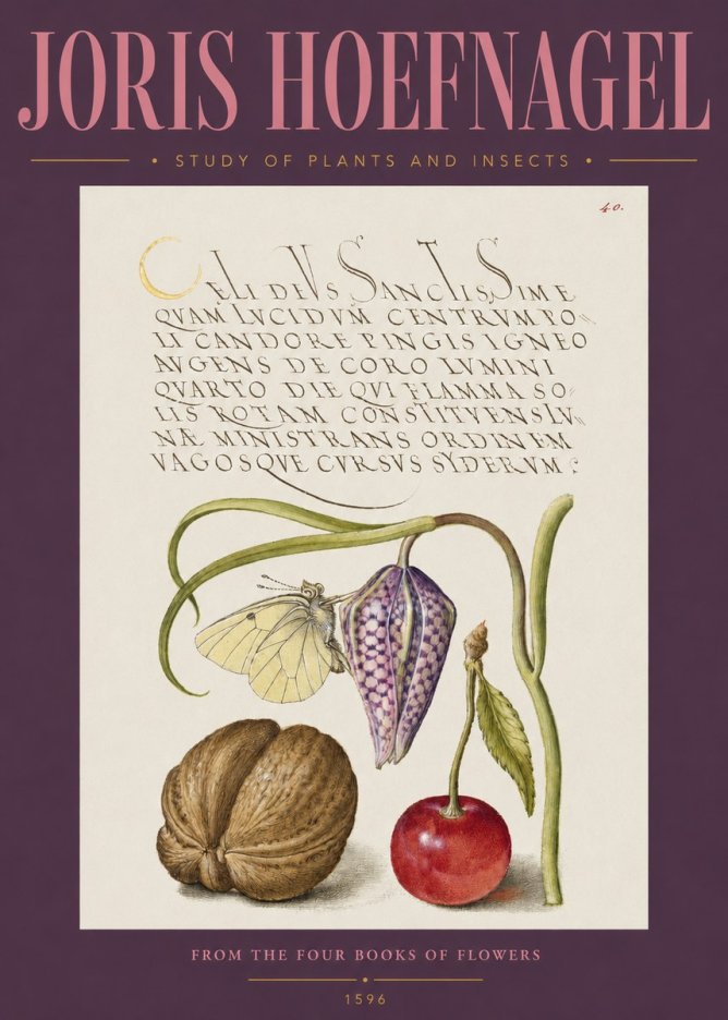 Joris Hoefnagel Study of Plants and Insects No2 - Affiche