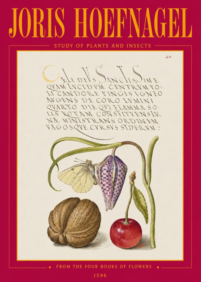 Joris Hoefnagel Study of Plants and Insects No3 - Affiche