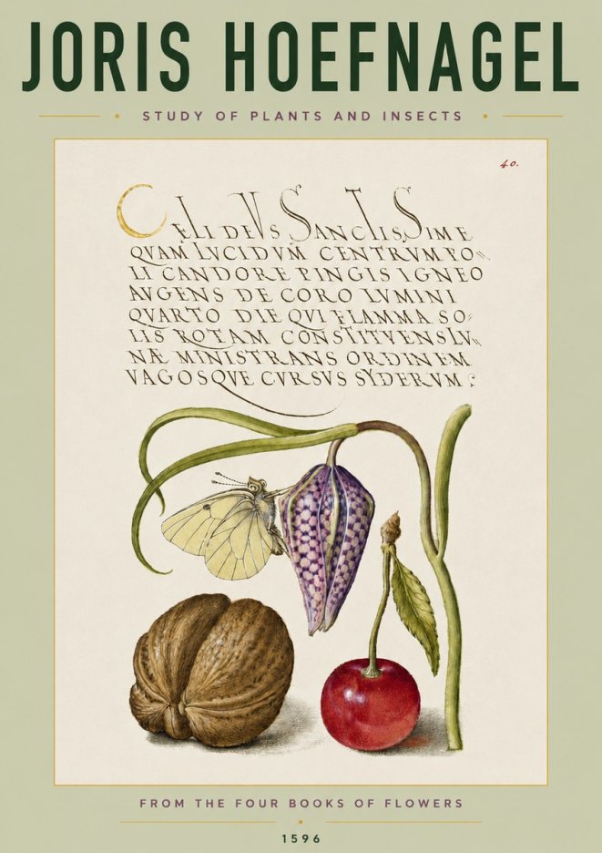 Joris Hoefnagel Study of Plants and Insects No4 - Affiche