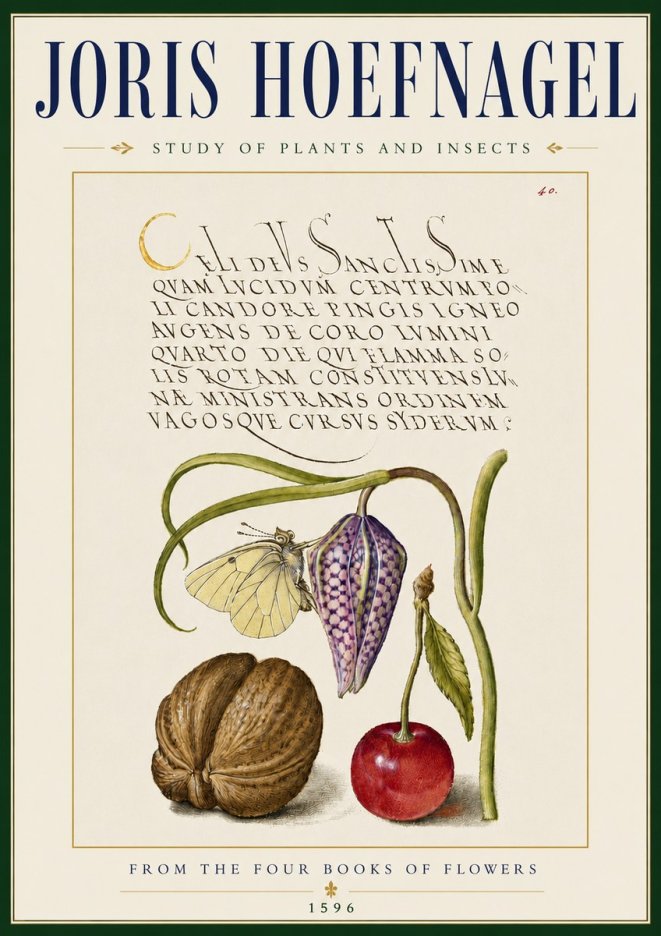 Joris Hoefnagel Study of Plants and Insects No5 - Affiche