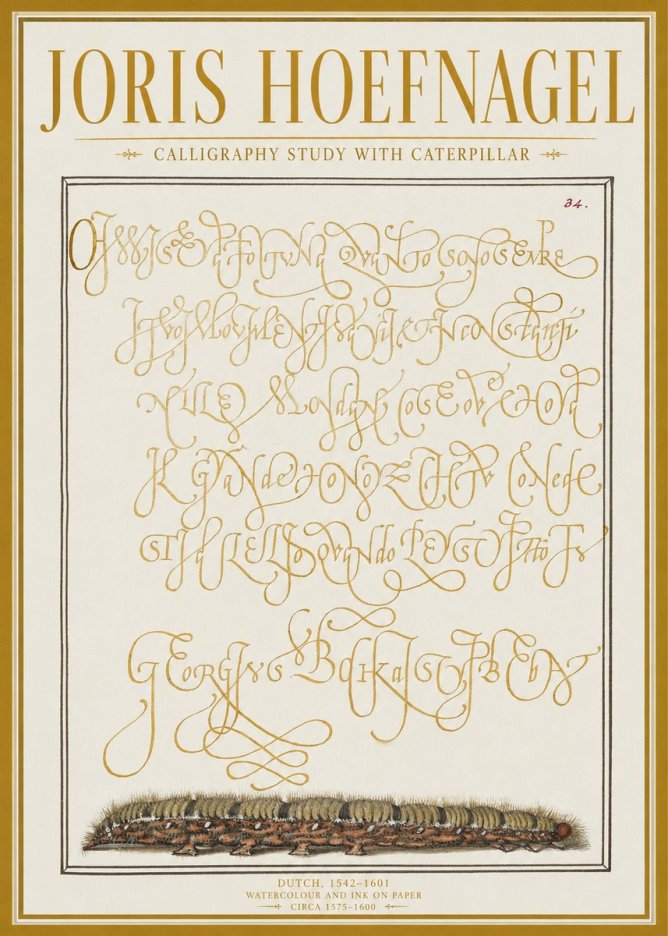 Joris Hoefnagel Calligraphy Study with Caterpillar No1 - Affiche