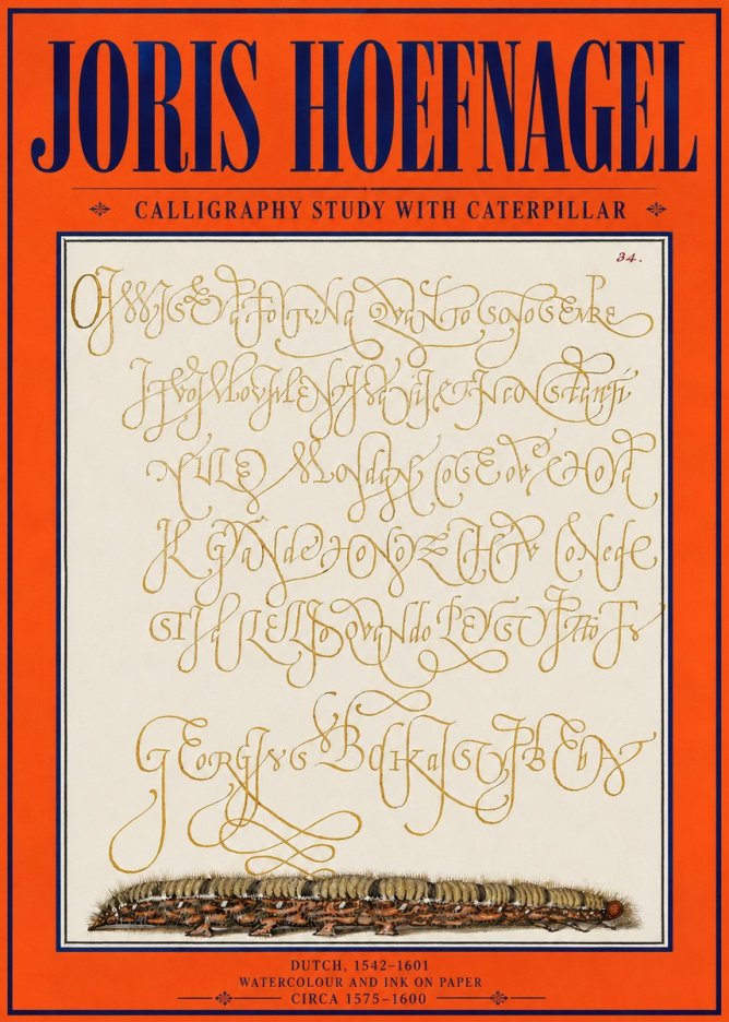 Joris Hoefnagel Calligraphy Study with Caterpillar No4 - Affiche