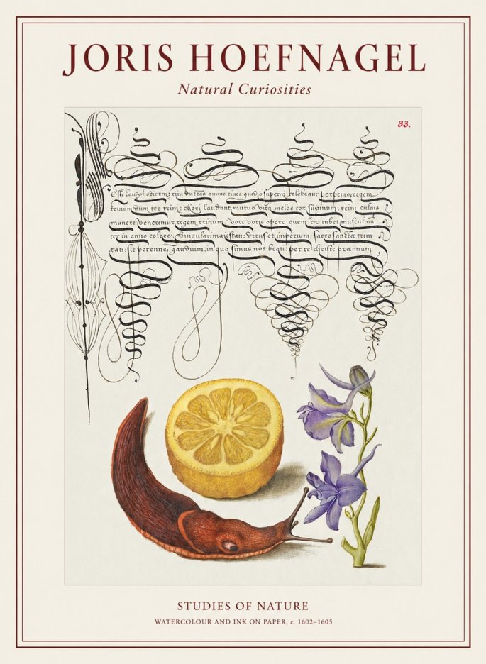 Joris Hoefnagel Studies of Nature No1 - Affiche