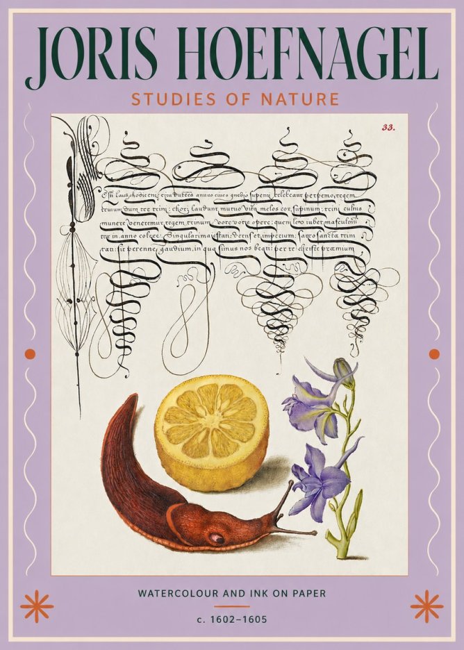 Joris Hoefnagel Studies of Nature No3 - Affiche