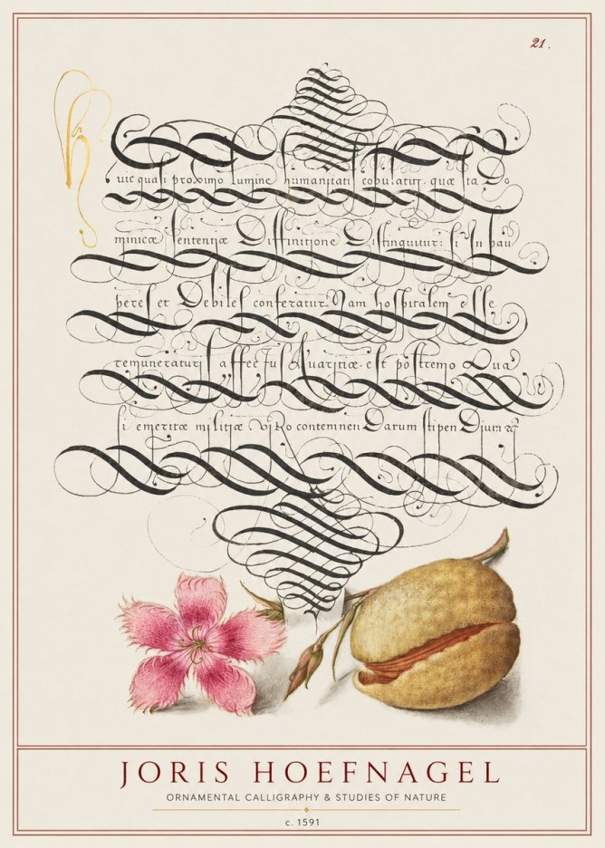 Joris Hoefnagel Ornamental Calligraphy & Studies of Nature No1 - Affiche