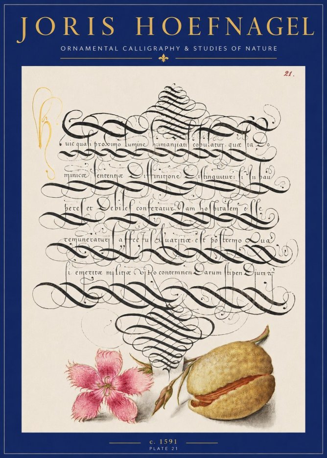 Joris Hoefnagel Ornamental Calligraphy & Studies of Nature No2 - Affiche