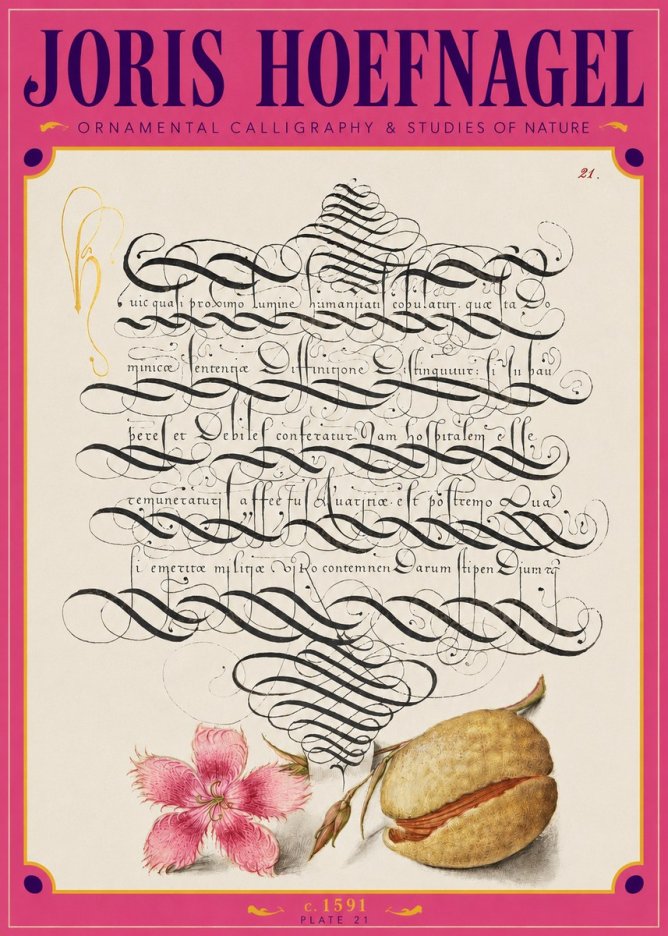 Joris Hoefnagel Ornamental Calligraphy & Studies of Nature No3 - Affiche