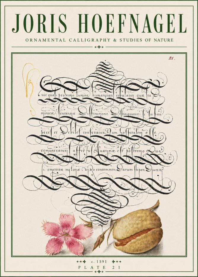 Joris Hoefnagel Ornamental Calligraphy & Studies of Nature No4 - Affiche