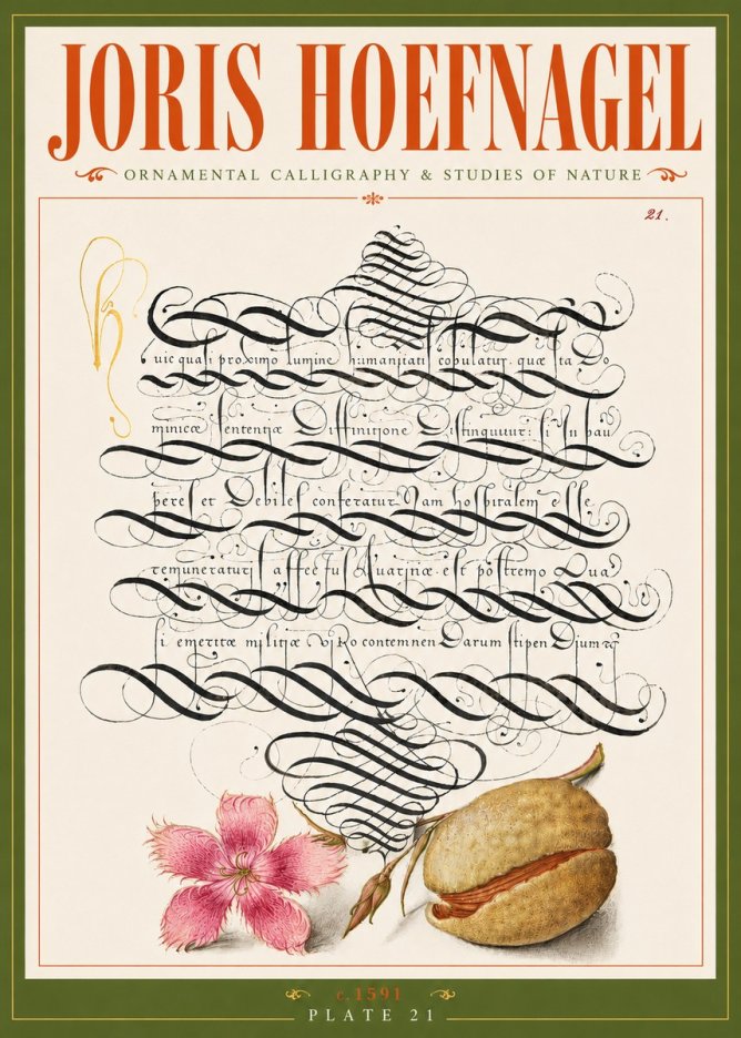 Joris Hoefnagel Ornamental Calligraphy & Studies of Nature No6 - Affiche