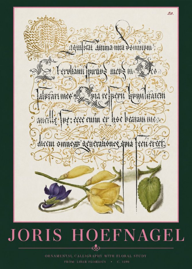 Joris Hoefnagel Ornamental Calligraphy with Floral Study No2 - Affiche