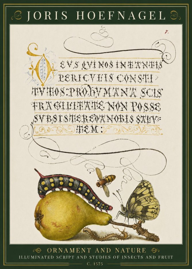 Joris Hoefnagel Ornament and Nature - Illuminated Script and Studies of Insects and Fruit No1 - Affiche