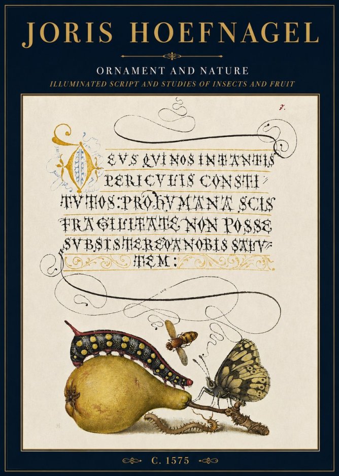 Joris Hoefnagel Ornament and Nature - Illuminated Script and Studies of Insects and Fruit No3 - Affiche