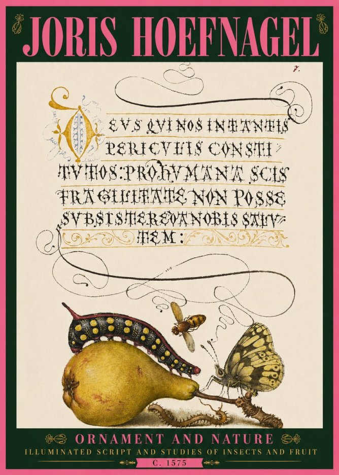 Joris Hoefnagel Ornament and Nature - Illuminated Script and Studies of Insects and Fruit No4 - Affiche