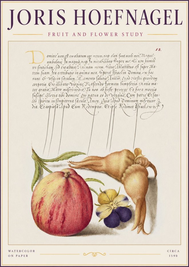 Joris Hoefnagel Fruit and Flower Study No2 - Affiche