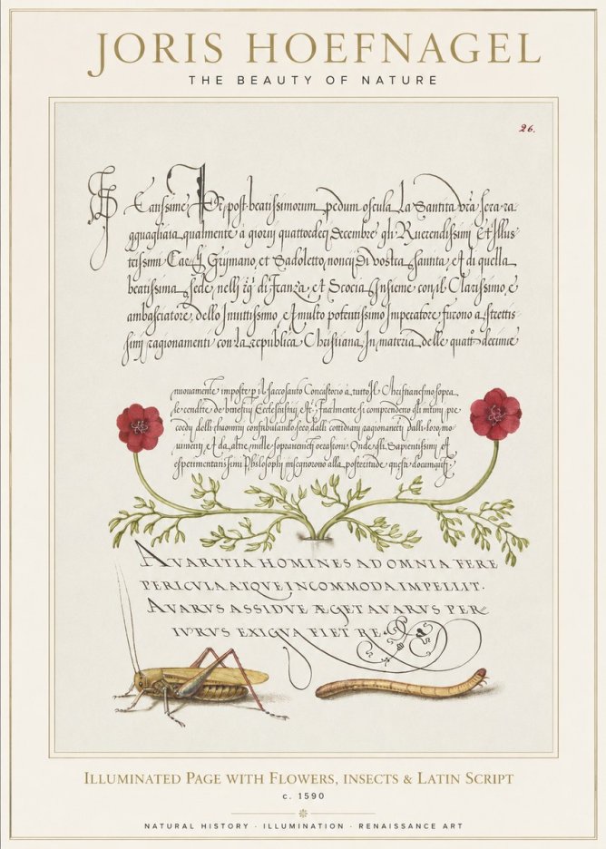 Joris Hoefnagel Illuminated Page with Flowers, Insects & Latin Script No1 - Affiche