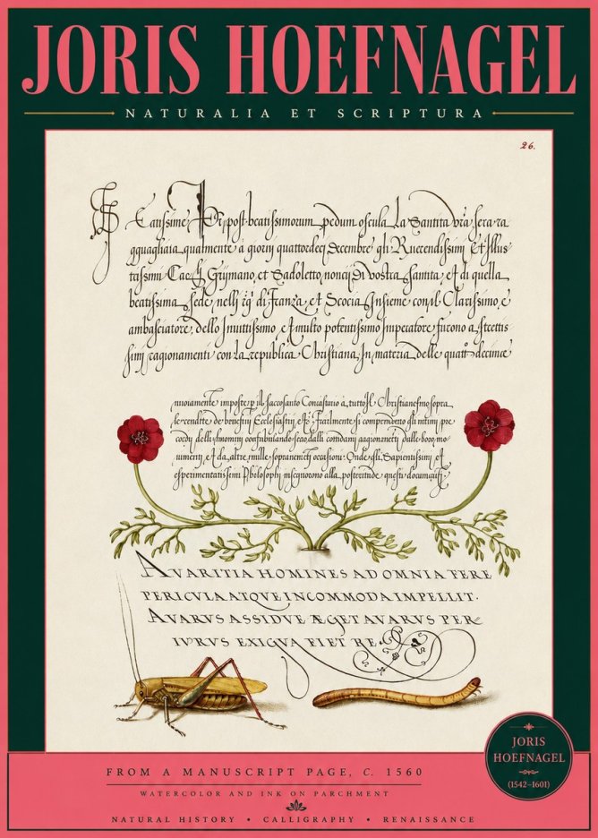 Joris Hoefnagel Illuminated Page with Flowers, Insects & Latin Script No3 - Affiche