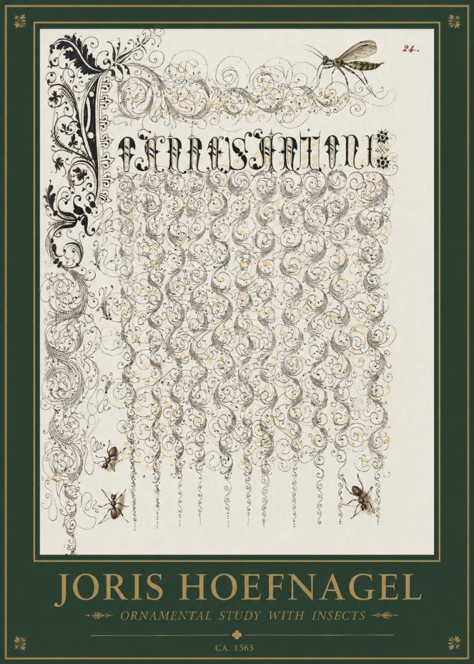 Joris Hoefnagel Ornamental Study with Insects No1 - Affiche