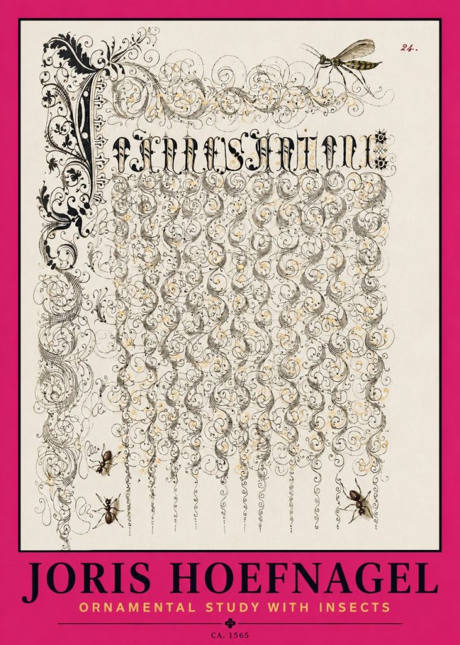 Joris Hoefnagel Ornamental Study with Insects No2 - Affiche