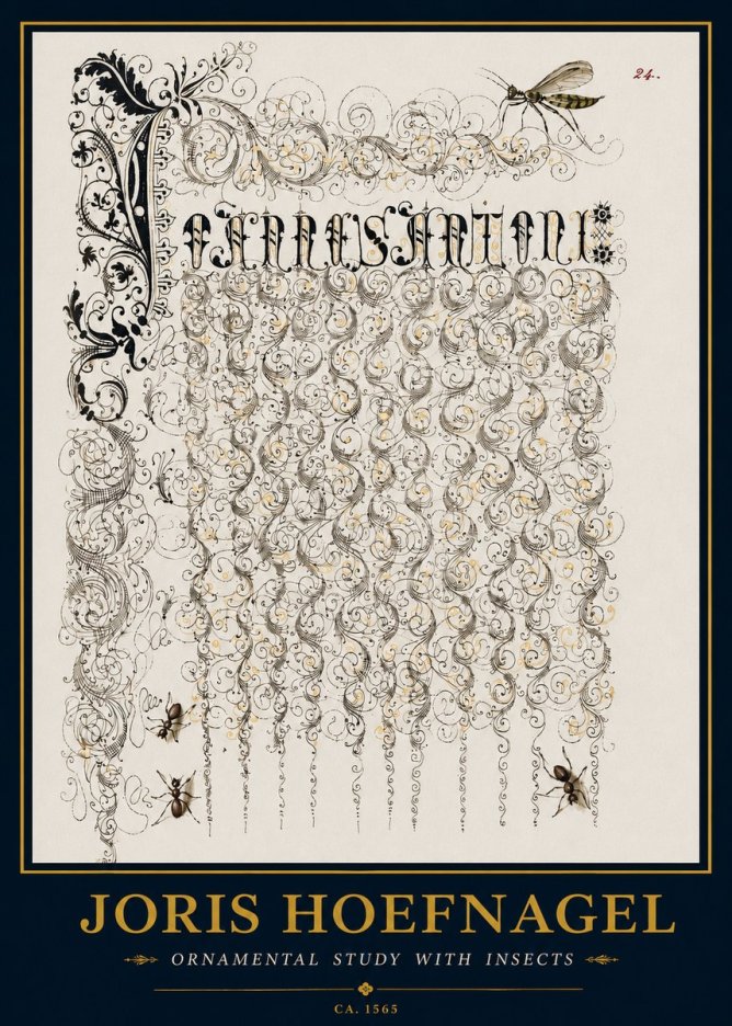 Joris Hoefnagel Ornamental Study with Insects No3 - Affiche