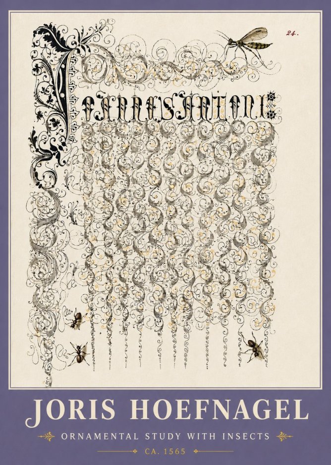 Joris Hoefnagel Ornamental Study with Insects No6 - Affiche