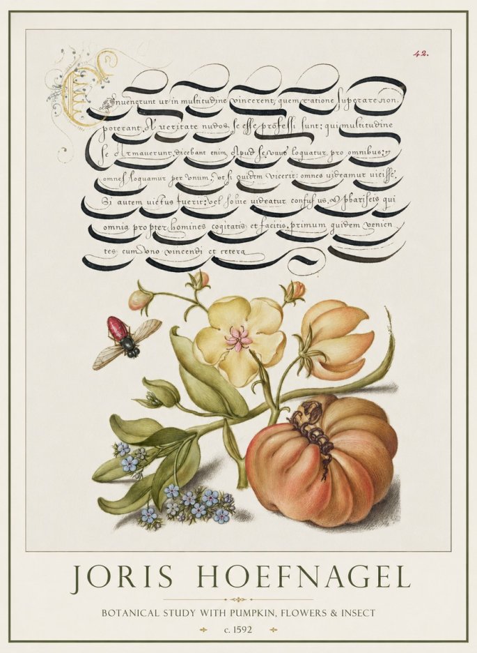 Joris Hoefnagel Botanical Study with Pumpkin, Flowers & Insect No1 - Affiche