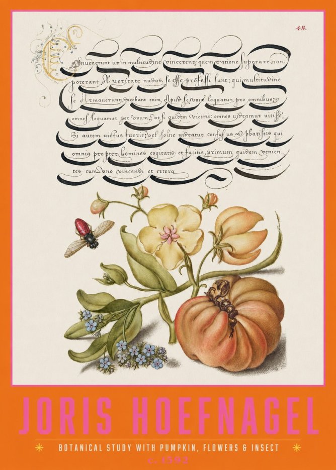 Joris Hoefnagel Botanical Study with Pumpkin, Flowers & Insect No2 - Affiche