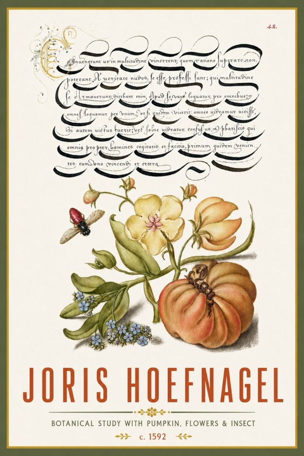 Joris Hoefnagel Botanical Study with Pumpkin, Flowers & Insect No4 - Affiche