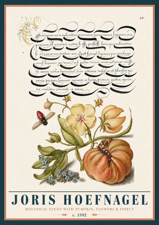 Joris Hoefnagel Botanical Study with Pumpkin, Flowers & Insect No5 - Affiche