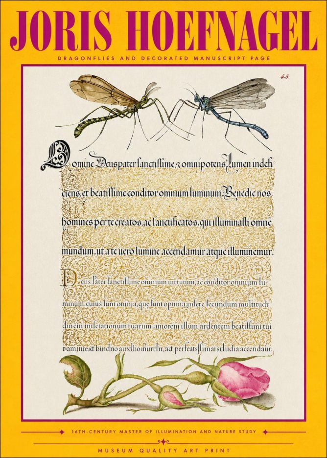 Joris Hoefnagel Dragonflies and Decorated Manuscript Page No4 - Affiche