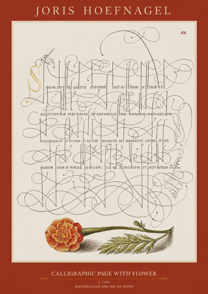 Joris Hoefnagel Calligraphic Study with Marigold No2 - Affiche