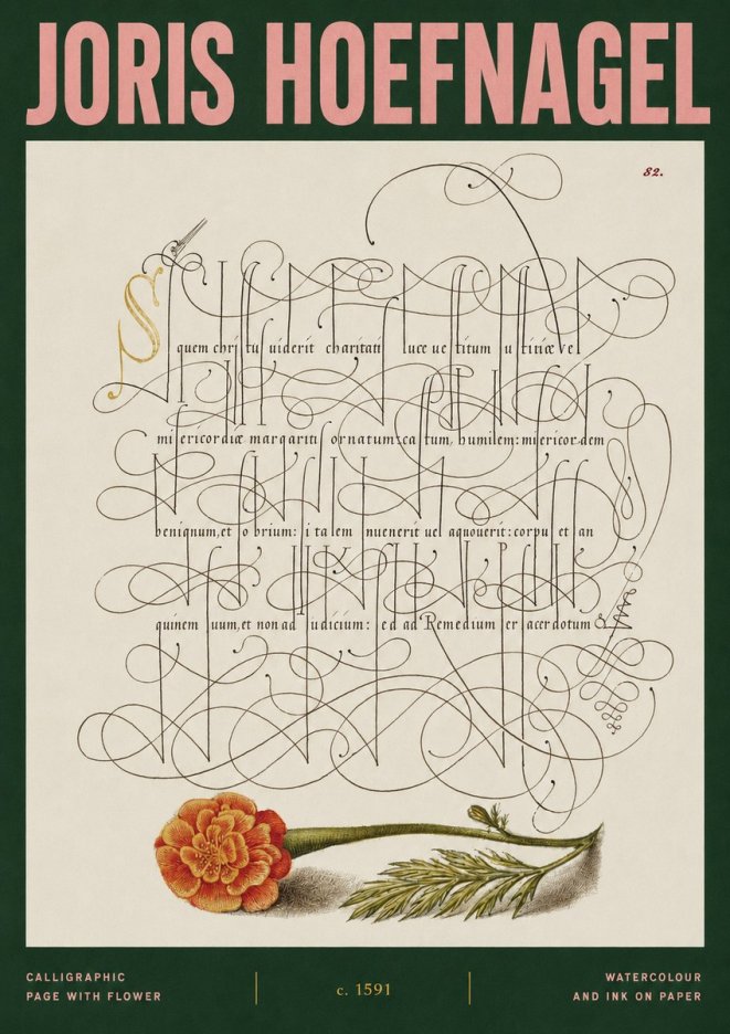 Joris Hoefnagel Calligraphic Study with Marigold No3 - Affiche
