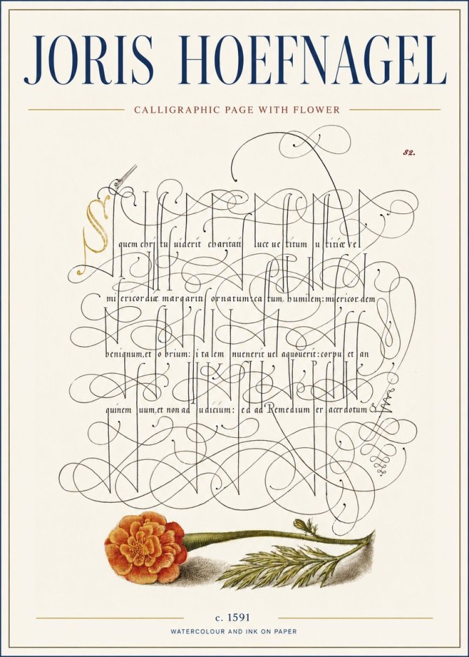 Joris Hoefnagel Calligraphic Study with Marigold No4 - Affiche