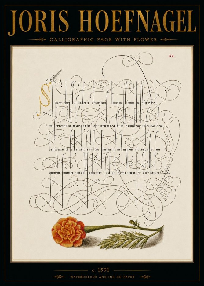 Joris Hoefnagel Calligraphic Study with Marigold No6 - Affiche