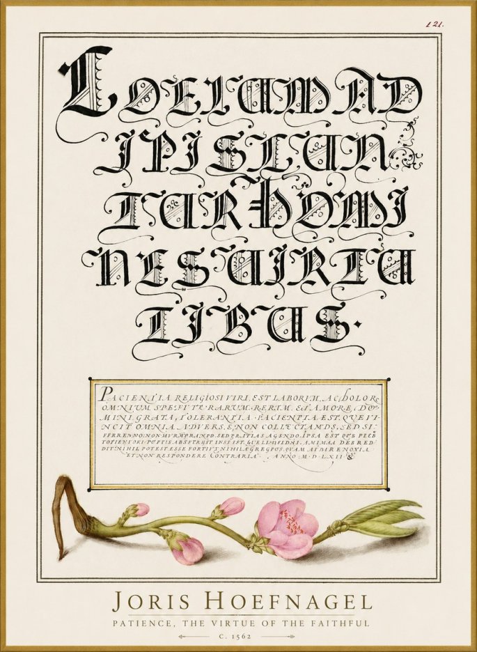 Joris Hoefnagel Calligraphic Alphabet from a Book of Lettering No3 - Affiche