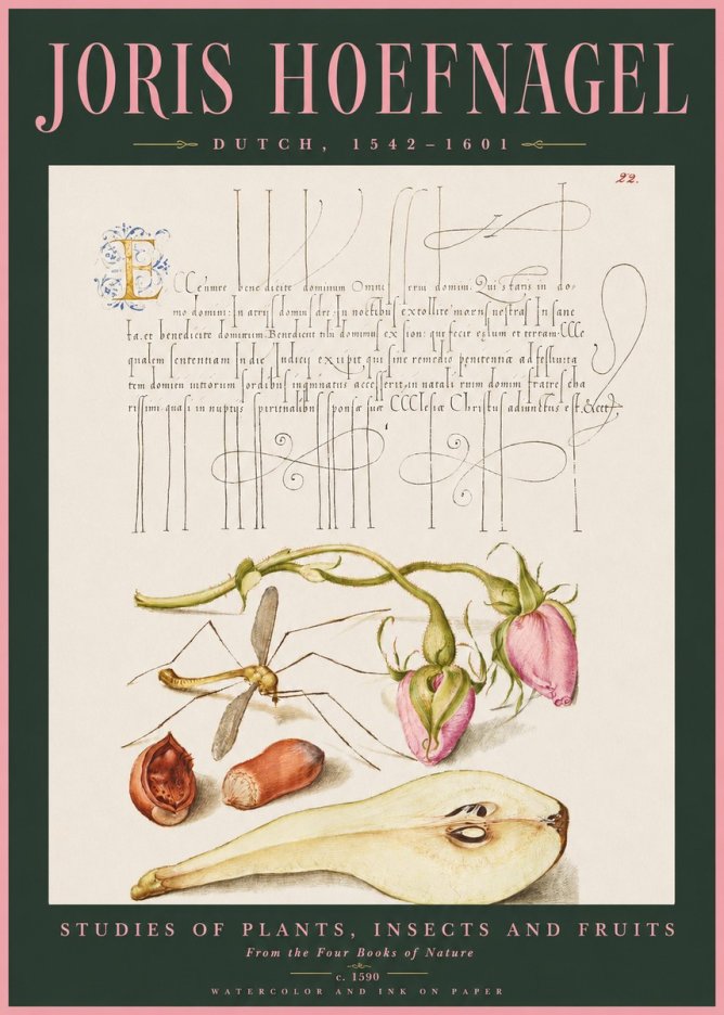 Joris Hoefnagel Studies of Plants, Insects and Fruits No2 - Affiche